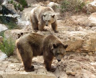 Maya Chen profile photo