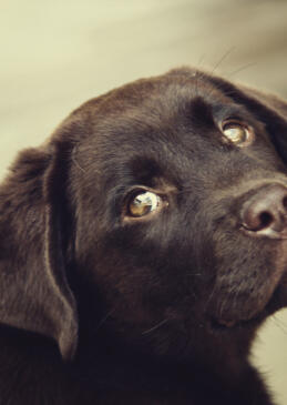 Maya Chen profile photo