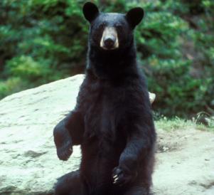 Leo Anders profile photo