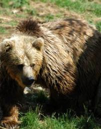 Maya Chen profile photo