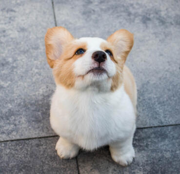 Jonas Richter profile photo