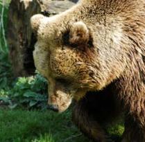 Jonas Richter profile photo